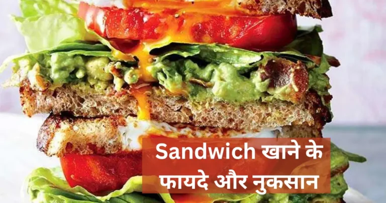 Sandwich Khane Ke Fayde aur Nuksan in Hindi