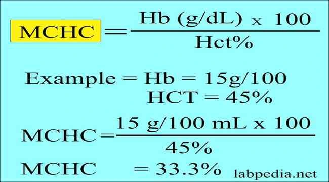 Mchc blood test how to find out value