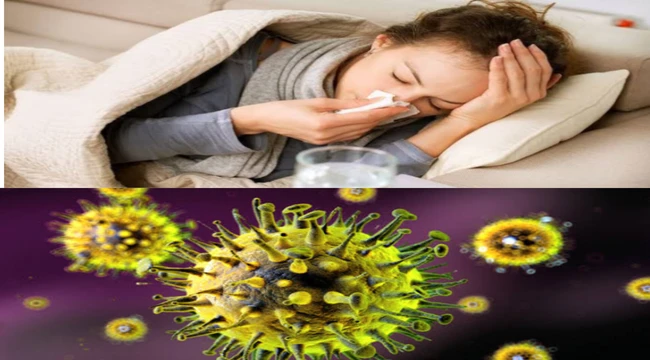 Influenza H3N2 virus symptoms