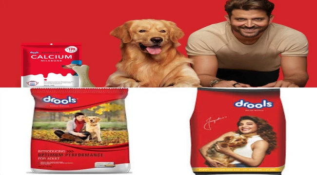 Ritik Roshan & jacklin farnandis with their dogs and giving advertisement of Drools dog ​​food