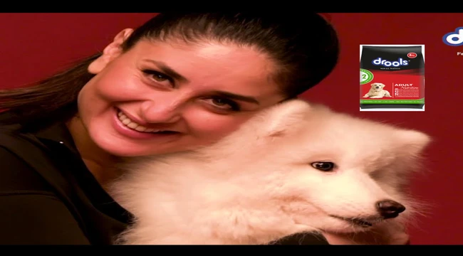 karina kapoor lifting her dog and giving advertisement of drools dog food