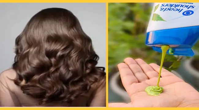 Head and shoulders neem anti dandruff shampoo