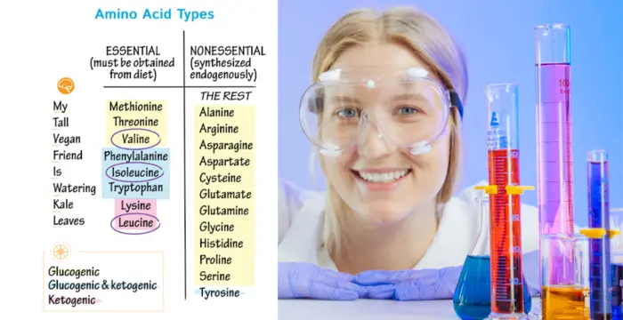 A smiling woman showing the Amino Acid types