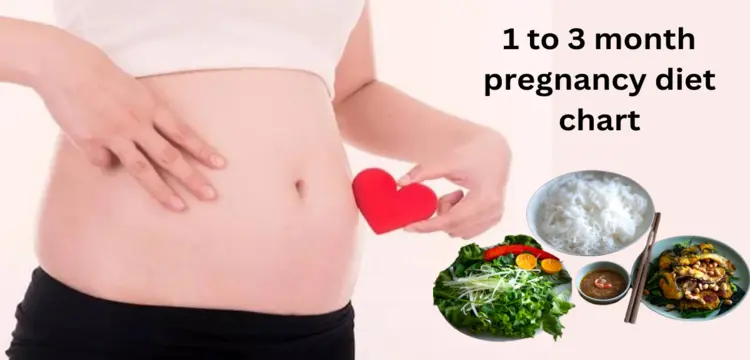 1 to 3 month pregnancy diet chart